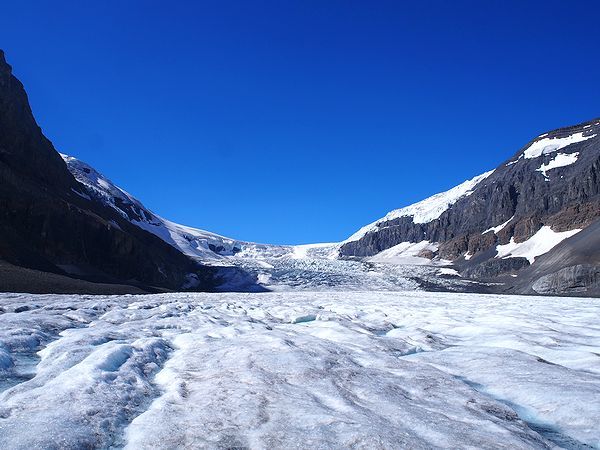 アサバスカ氷河