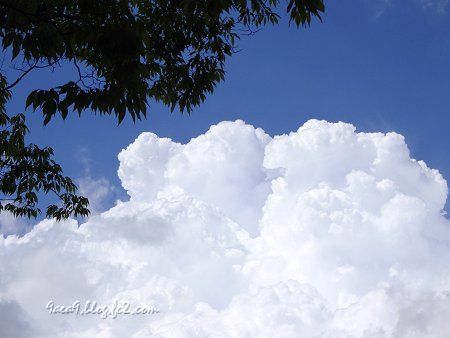 なかなか　おもしろい天候だった　雷がゴロゴロ言いつつも　青空と入道雲　2