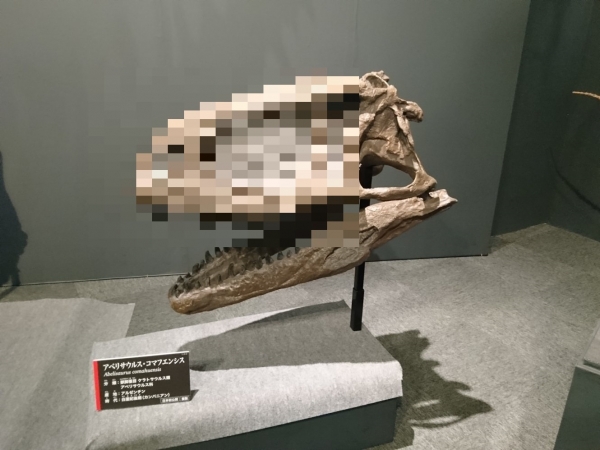 Abelisaurus comahuensis 001