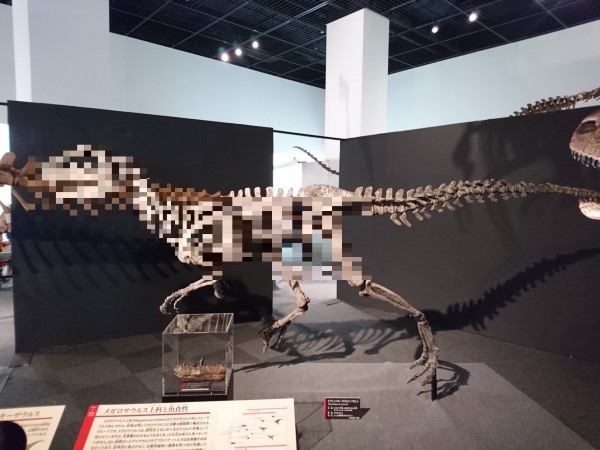 Piatnitzkysaurus floresi 001
