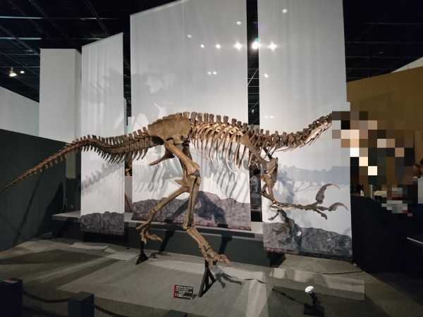 Megaraptor namunhuaiquii 001