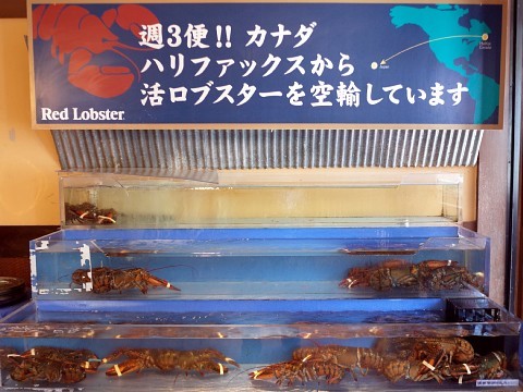 lobstercourse09.jpg