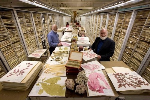 【画像】アメリカを代表するスミソニアン博物館の標本の保存倉庫が凄い！！の画像（7枚目）