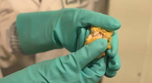【画像】マクドナルドのチキンマックナゲットができるまでを公開！！の画像（19枚目）