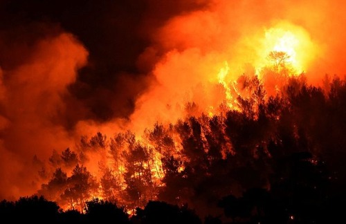 フランスのマルセイユの山火事の画像（24枚目）