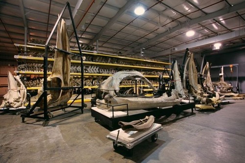 【画像】アメリカを代表するスミソニアン博物館の標本の保存倉庫が凄い！！の画像（11枚目）