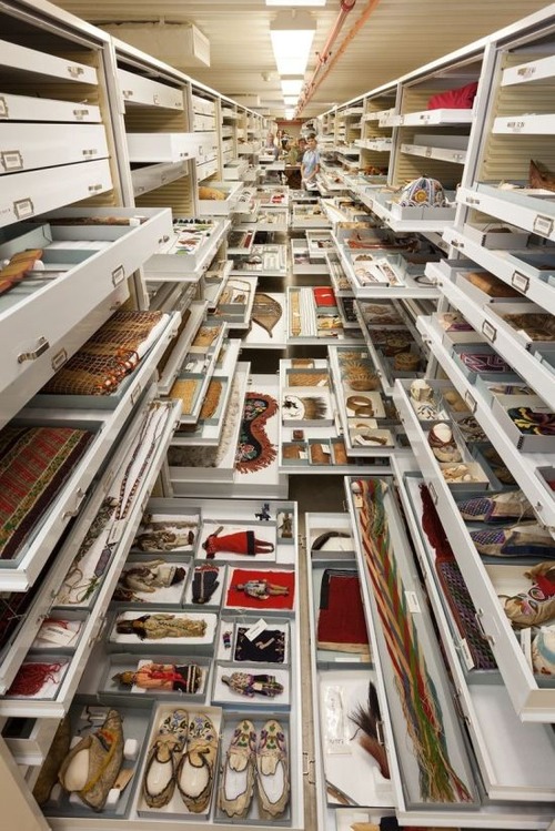 【画像】アメリカを代表するスミソニアン博物館の標本の保存倉庫が凄い！！の画像（3枚目）