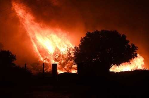 フランスのマルセイユの山火事の画像（14枚目）