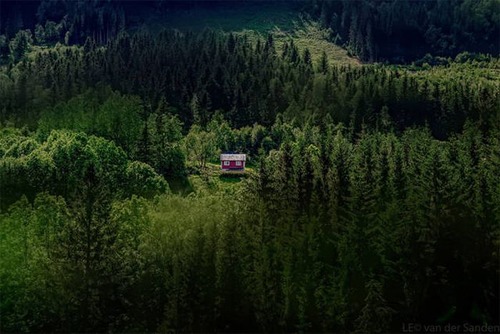森の中の隠れ家の画像（2枚目）