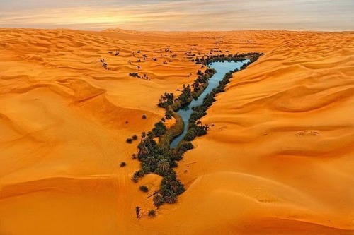 サハラ砂漠にある小さなオアシスが美しすぎて凄い！の画像（1枚目）