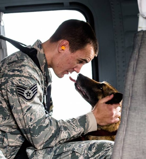 戦地での軍用犬の日常がわかるちょっと癒される画像の数々！！の画像（17枚目）