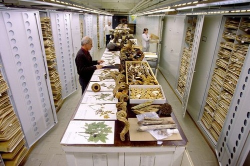 【画像】アメリカを代表するスミソニアン博物館の標本の保存倉庫が凄い！！の画像（1枚目）