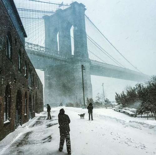 【画像】大雪のニューヨークで日常生活が大変な事になっている様子！の画像（7枚目）