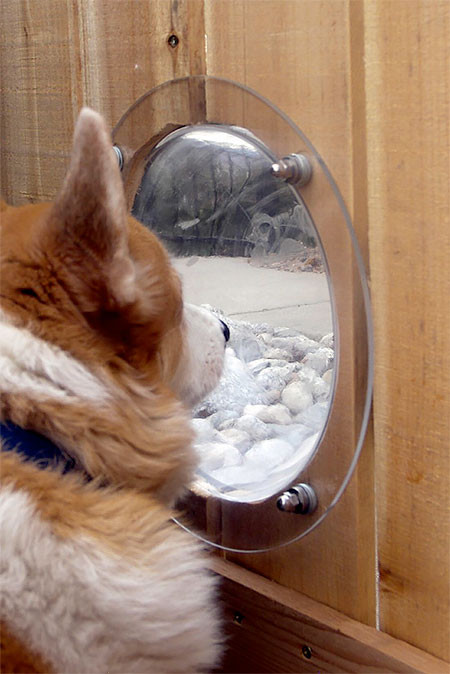 【画像】ワンちゃん大喜び！カッコいい犬用の窓！！の画像（5枚目）