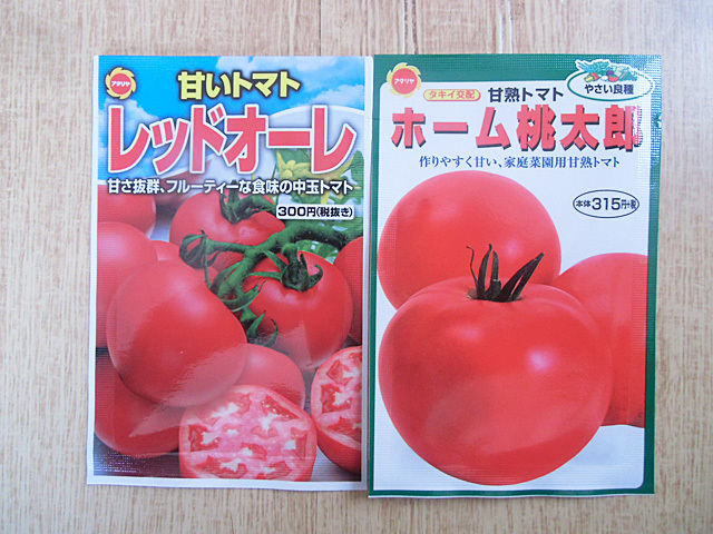 トマトの種