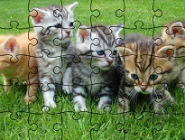 かわいい猫のジグソーパズルゲーム【Jigsaw Puzzle: Cats】