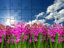 お花画像のジグソーパズルゲーム【Jigsaw Puzzle: Flowers】