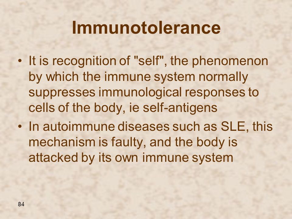 Immunotolerance.jpg