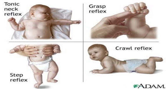infant-reflexes.jpg