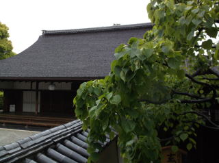 大徳寺方丈