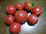 tomato20180808s.jpg