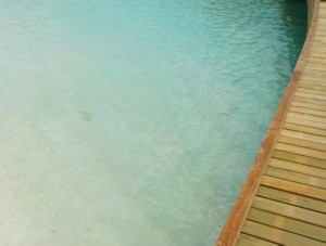 maldives_reethi_faru_resort_blog_25.jpg