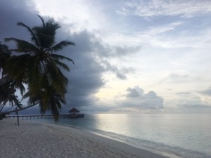 maldives_snorkeling_tour26.jpg