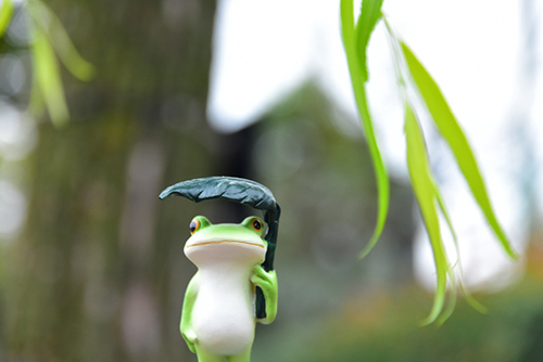 ツバキアキラが撮ったカエルのコポー。傘をさして、柳の下に立っているコポタロウ。