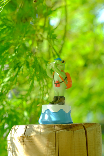 ツバキアキラが撮ったカエルのコポー。緑のカエデの中で、登山をしているコポタロウ。