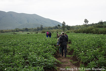 ルワンダ、山のふもとの畑を歩くゴリラトレッキング一行