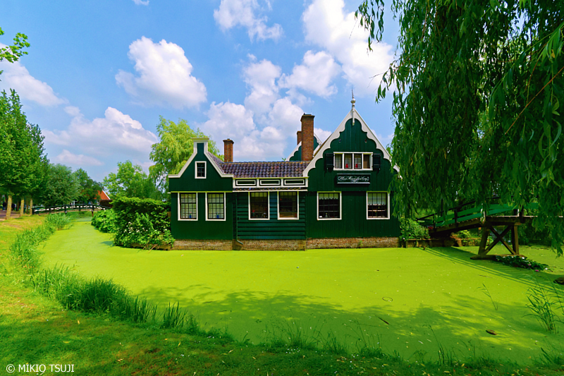絶景探しの旅 - 0679 緑一色の浮き草に囲まれた家 （オランダ 北ホラント州 ザーンダム）